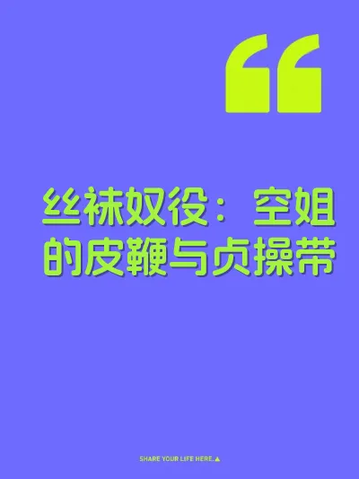 丝袜奴役：空姐的皮鞭与贞操带 封面