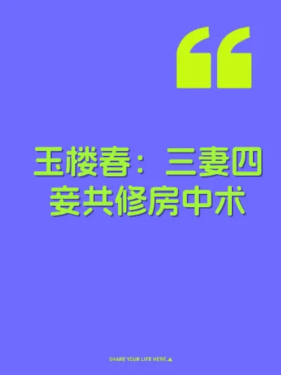 玉楼春：三妻四妾共修房中术 封面