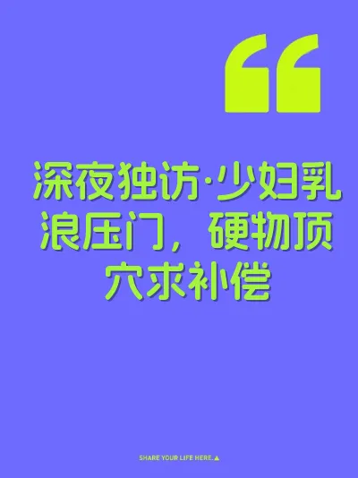 深夜独访·少妇乳浪压门，硬物顶穴求补偿 封面
