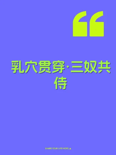 乳穴贯穿·三奴共侍 封面