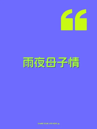 雨夜母子情 封面
