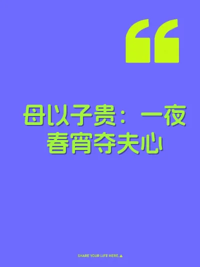 母以子贵：一夜春宵夺夫心 封面