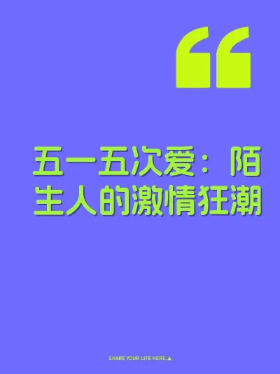 五一五次爱：陌生人的激情狂潮 封面