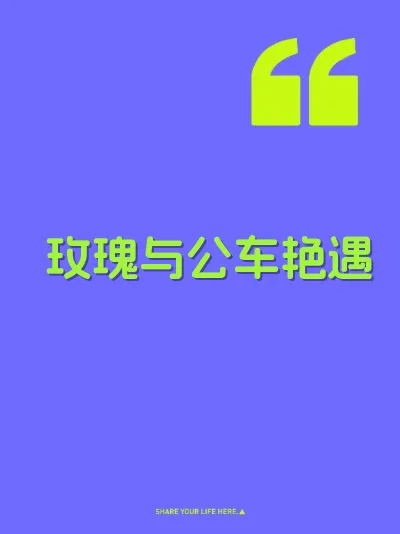 玫瑰与公车艳遇 封面