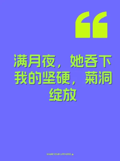 满月夜，她吞下我的坚硬，菊洞绽放 封面