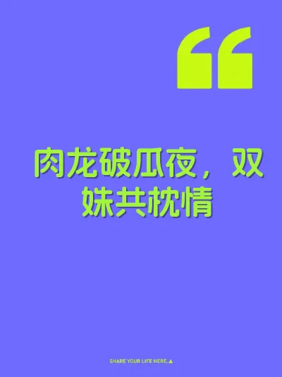 肉龙破瓜夜，双姝共枕情 封面