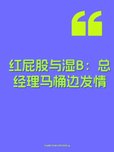 红屁股与湿B：总经理马桶边发情 封面