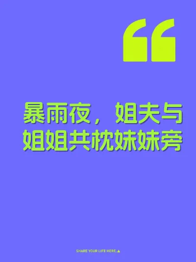 暴雨夜，姐夫与姐姐共枕妹妹旁 封面