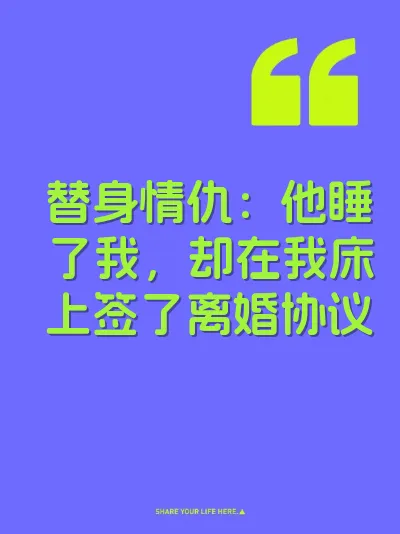 替身情仇：他睡了我，却在我床上签了离婚协议 封面