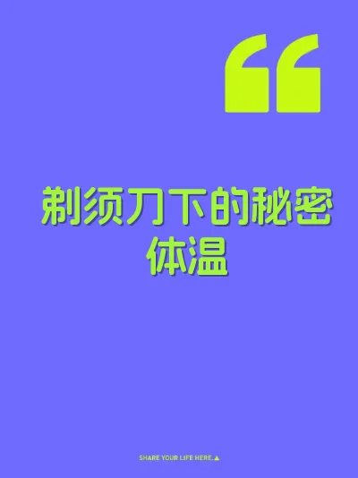 剃须刀下的秘密体温 封面