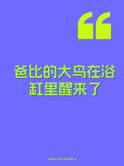爸比的大鸟在浴缸里醒来了 封面