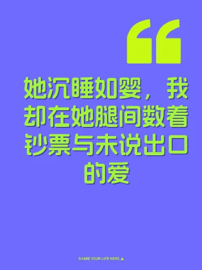 她沉睡如婴，我却在她腿间数着钞票与未说出口的爱 封面