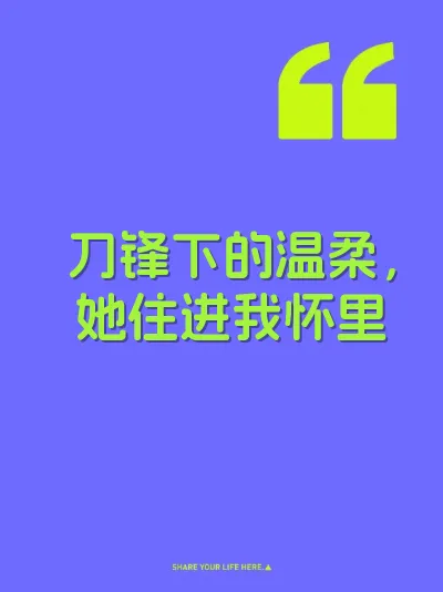 刀锋下的温柔，她住进我怀里 封面