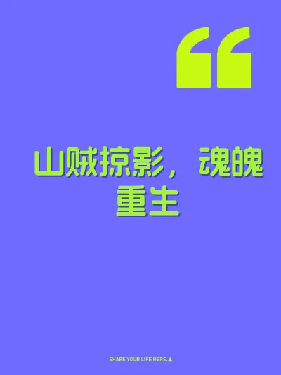 山贼掠影，魂魄重生 封面