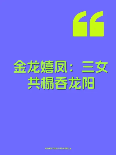 金龙嬉凤：三女共榻吞龙阳 封面