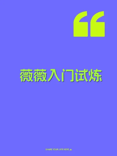 薇薇入门试炼 封面
