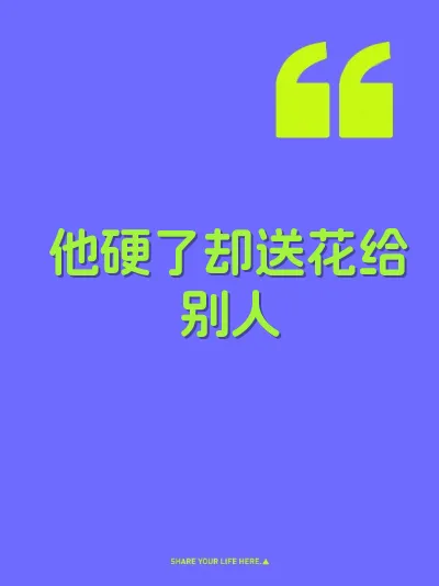 他硬了却送花给别人 封面