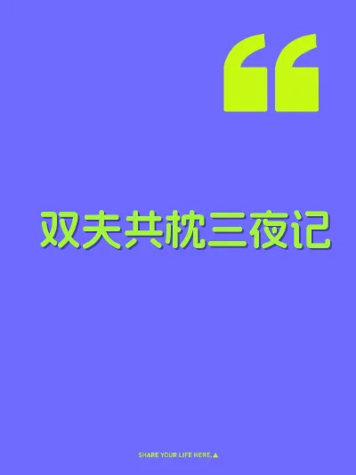 双夫共枕三夜记 封面