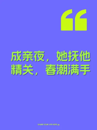 成亲夜，她抚他精关，春潮满手 封面