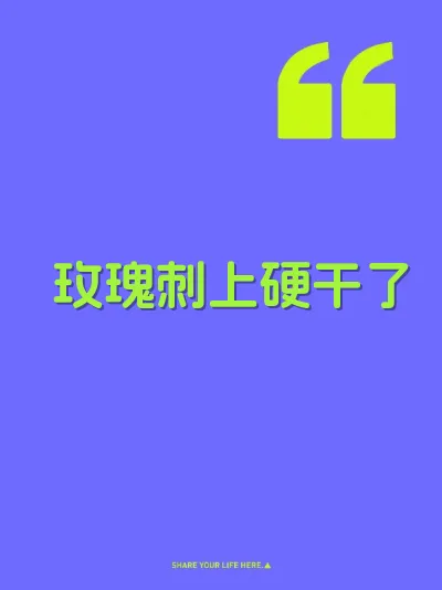 玫瑰刺上硬干了 封面