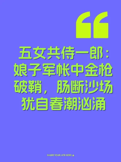 五女共侍一郎：娘子军帐中金枪破鞘，肠断沙场犹自春潮汹涌 封面