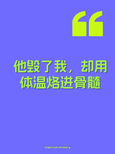 他毁了我，却用体温烙进骨髓 封面