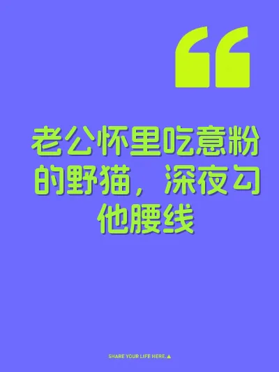 老公怀里吃意粉的野猫，深夜勾他腰线 封面