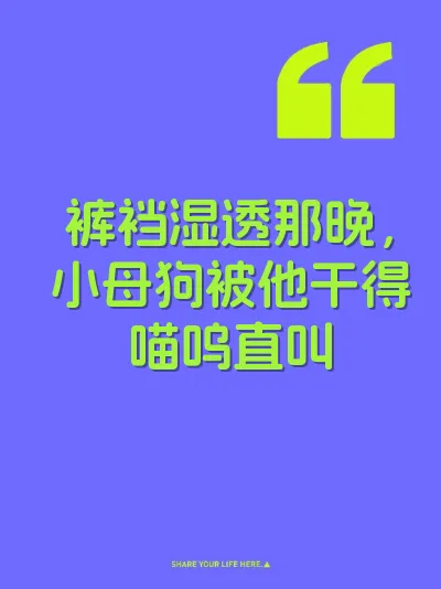 裤裆湿透那晚，小母狗被他干得喵呜直叫 封面