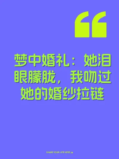 梦中婚礼：她泪眼朦胧，我吻过她的婚纱拉链 封面