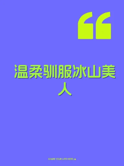 温柔驯服冰山美人 封面