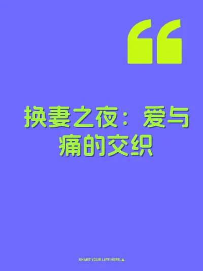 换妻之夜：爱与痛的交织 封面
