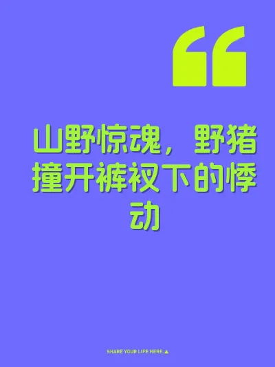 山野惊魂，野猪撞开裤衩下的悸动 封面