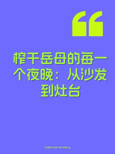 榨干岳母的每一个夜晚：从沙发到灶台 封面