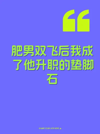 肥男双飞后我成了他升职的垫脚石 封面