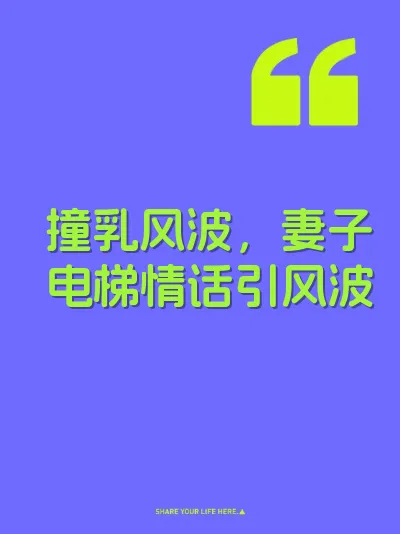 撞乳风波，妻子电梯情话引风波 封面