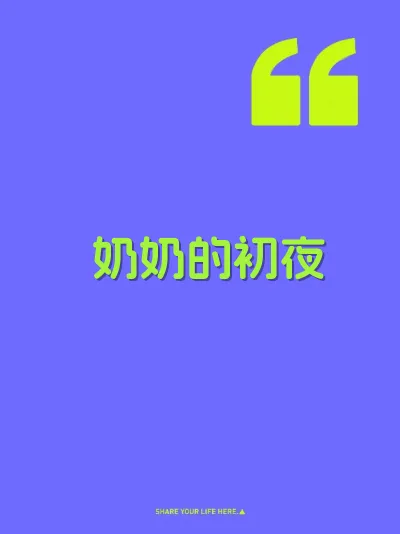 奶奶的初夜 封面
