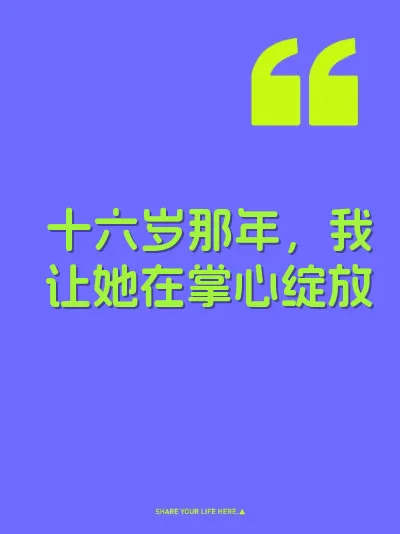十六岁那年，我让她在掌心绽放 封面