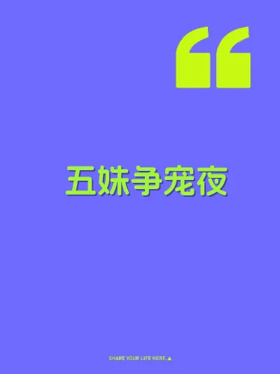五姝争宠夜 封面