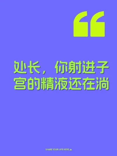 处长，你射进子宫的精液还在淌 封面