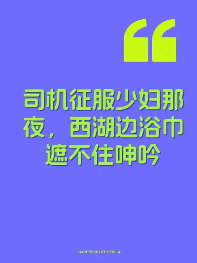 司机征服少妇那夜，西湖边浴巾遮不住呻吟 封面