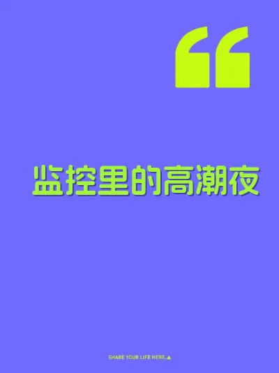 监控里的高潮夜 封面
