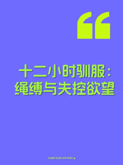 十二小时驯服：绳缚与失控欲望 封面