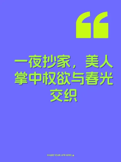 一夜抄家，美人掌中权欲与春光交织 封面