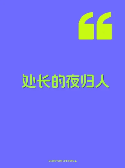 处长的夜归人 封面