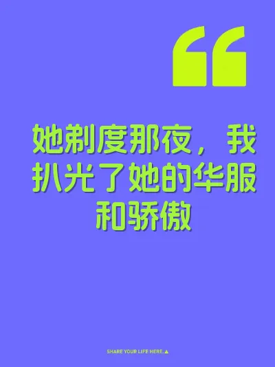她剃度那夜，我扒光了她的华服和骄傲 封面