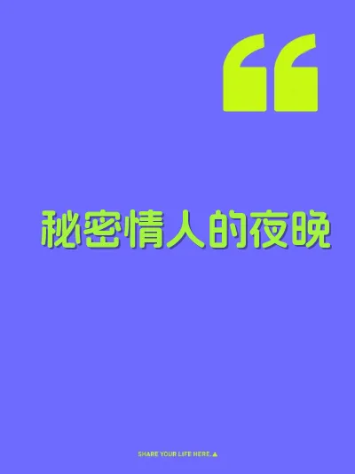 秘密情人的夜晚 封面