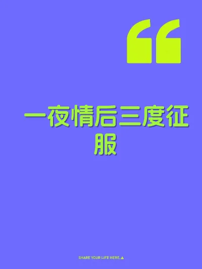 一夜情后三度征服 封面