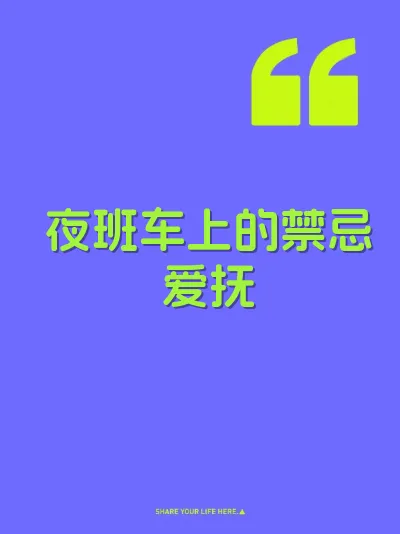 夜班车上的禁忌爱抚 封面
