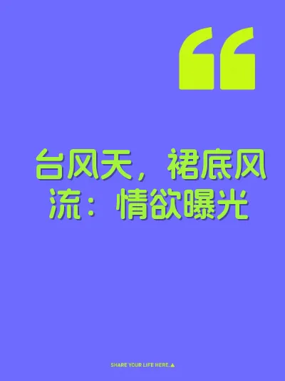 台风天，裙底风流：情欲曝光 封面