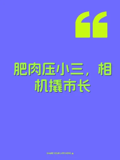 肥肉压小三，相机撬市长 封面